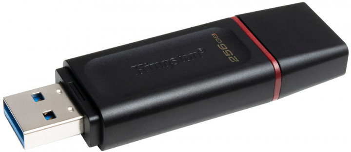 Накопичувач USB Kingston 256 Гб DataTraveler Exodia (DTX/256GB)
